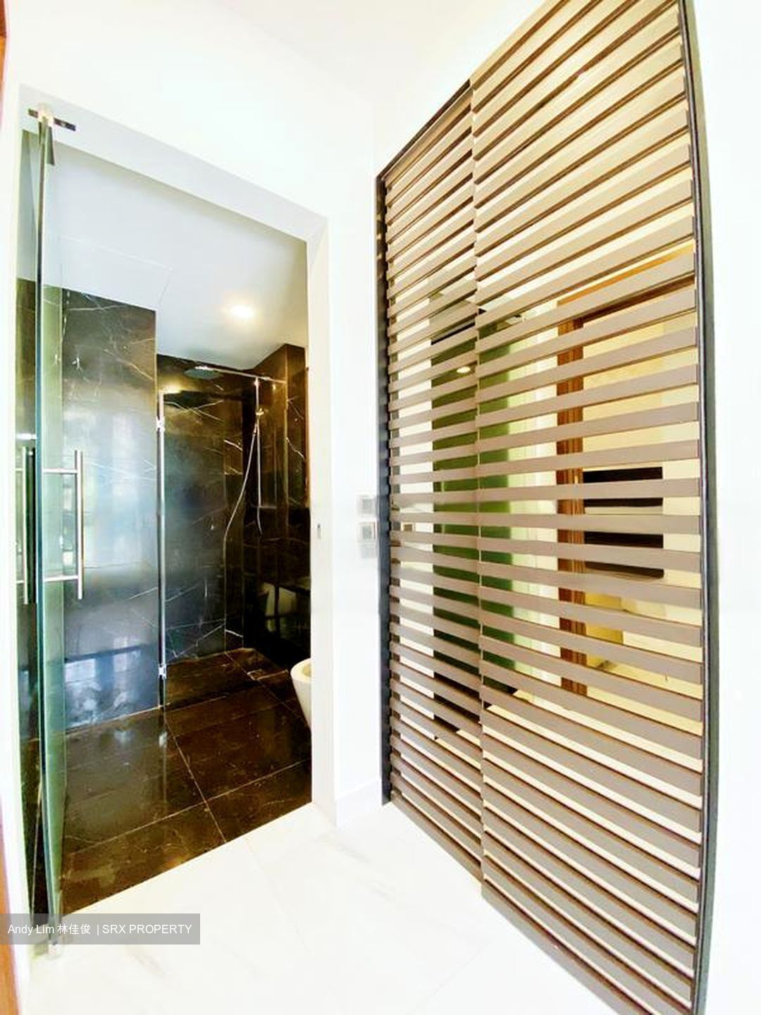 Devonshire 12 (D9), Apartment #476122251